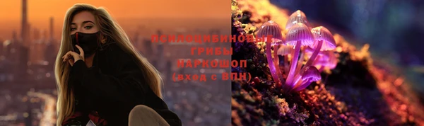 винт Алексеевка