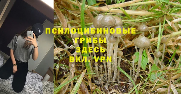 винт Алексеевка